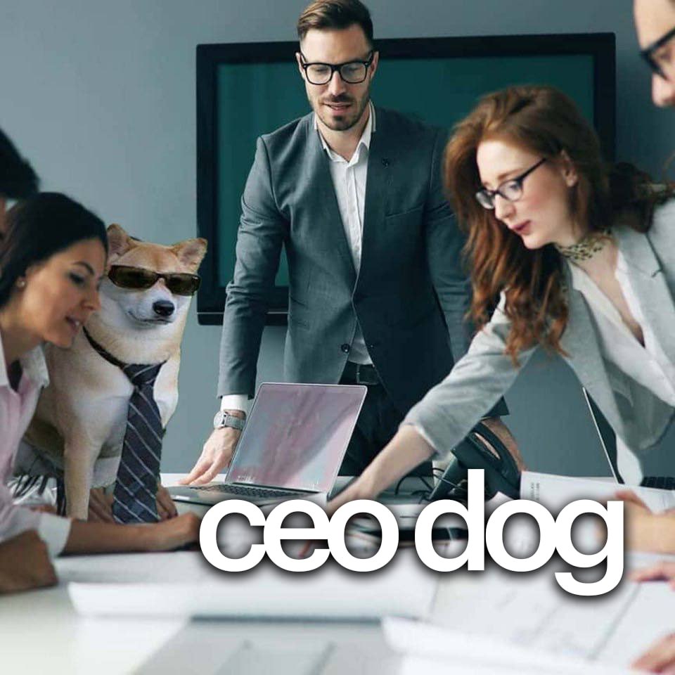 CEO Dog meme