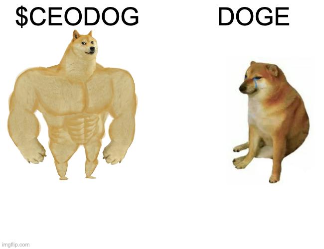 CEO Dog Row 2 2