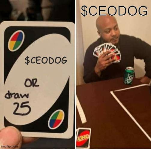 CEO Dog Row 2 3